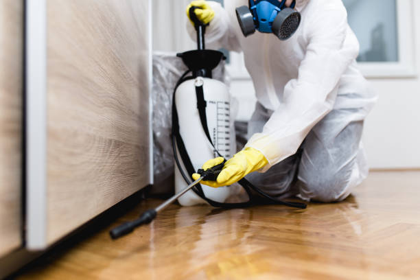 Best Flea Control Services  in Big Sky, MT