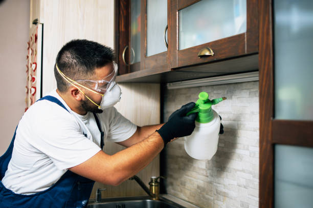 Best Residential Pest Control  in Big Sky, MT
