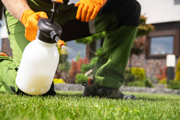 Best Wildlife Control Services  in Big Sky, MT