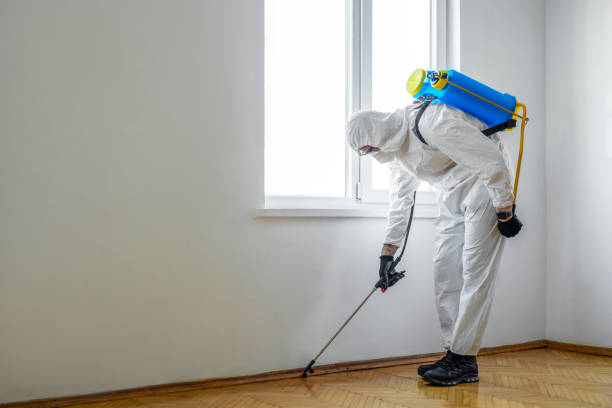 Best Affordable Pest Control Services  in Big Sky, MT