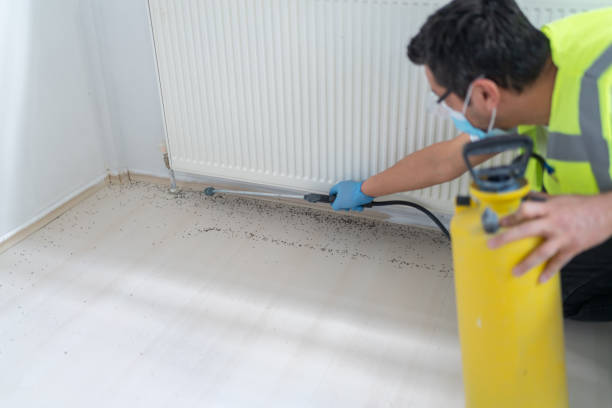 Best Ant Control Services  in Big Sky, MT